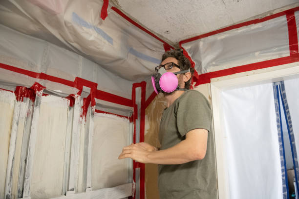 Trusted Lisbon, ND Mold Inspection, Removal & Remediation Experts